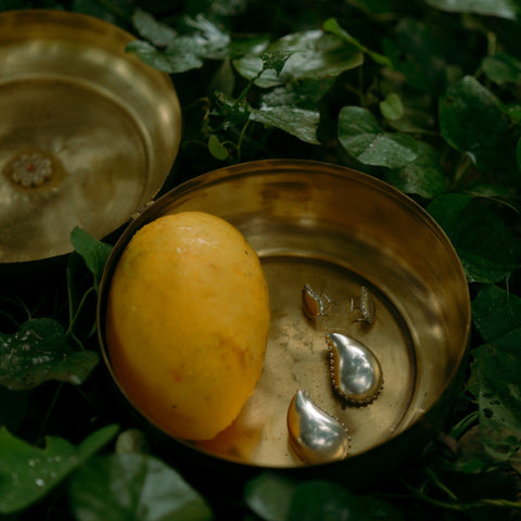 Mango Slices - surmeyi