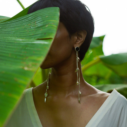 Mango Stems - surmeyi